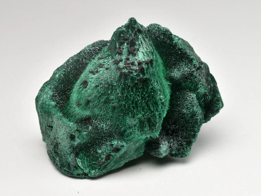 The Enchanting World of Velvet Malachite: A Congo Treasure