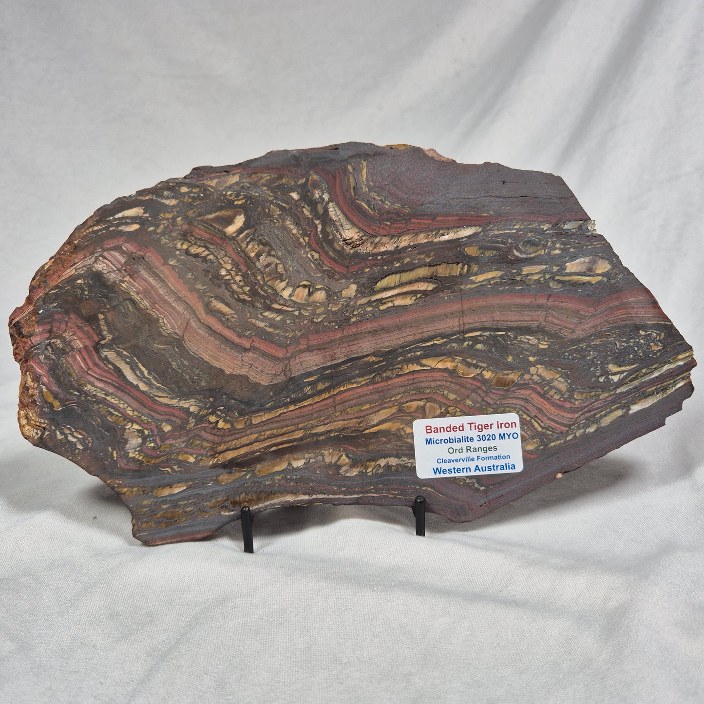 Banded Tiger Iron Polished ZBI007