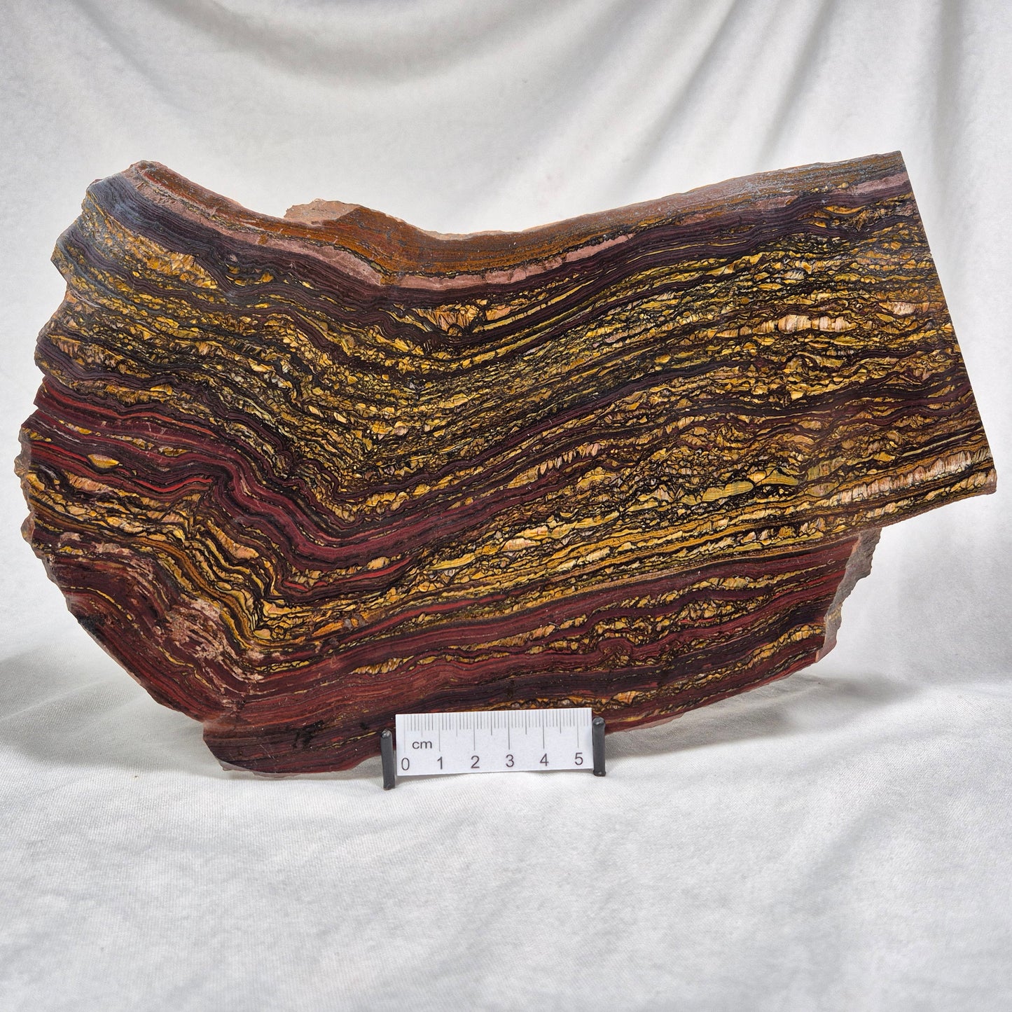 Banded Tiger Iron Polished ZBI008