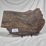 Banded Tiger Iron Polished ZBI008