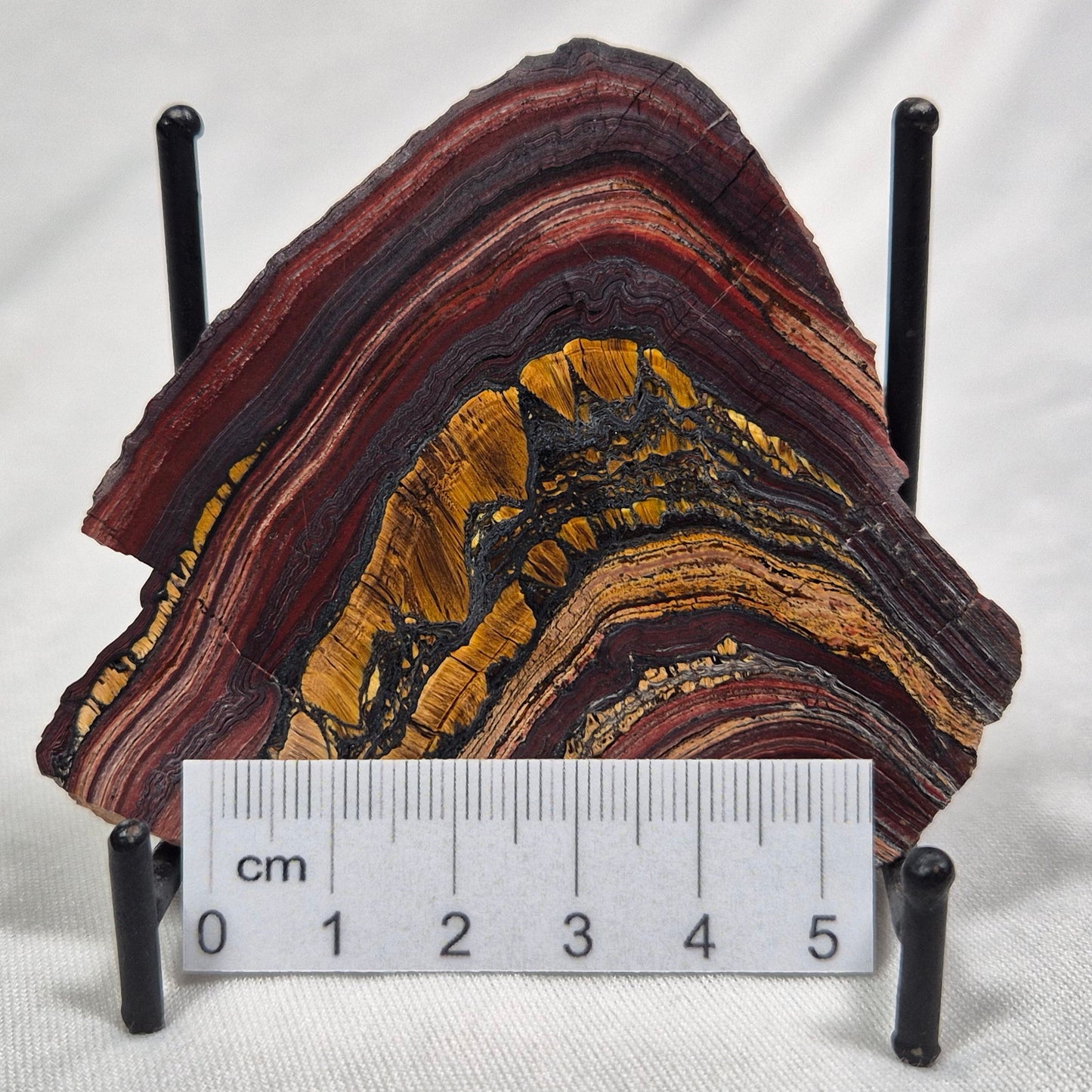 Banded Tiger Iron Polished ZBI009