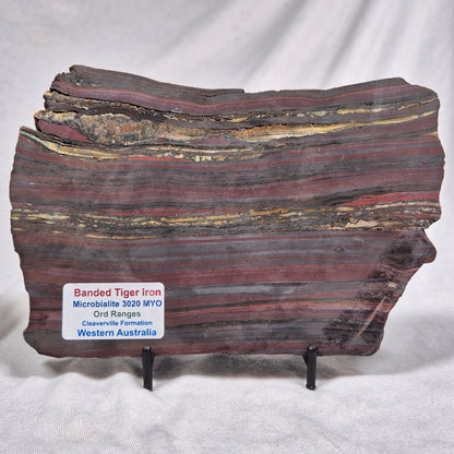 Banded Tiger Iron Polished ZBI012