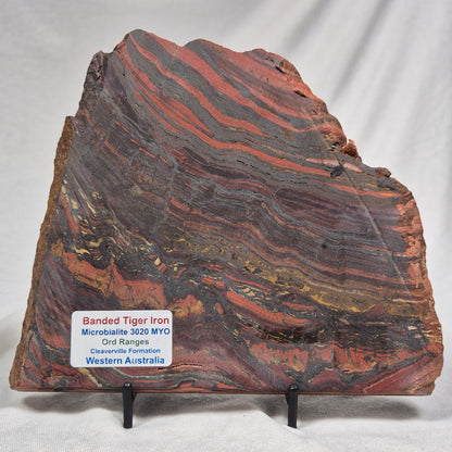 Banded Tiger Iron Polished ZBI013