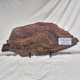 Banded Tiger Iron Polished ZBI016