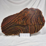 Banded Tiger Iron Polished ZBI017