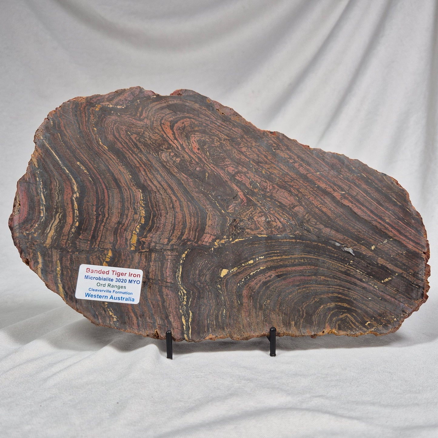 Banded Tiger Iron Polished ZBI017