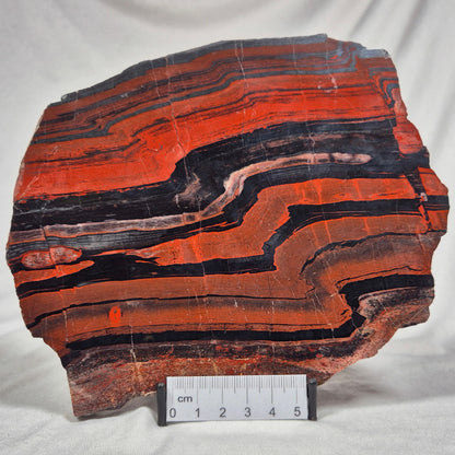 Banded Tiger Iron Polished ZBI018