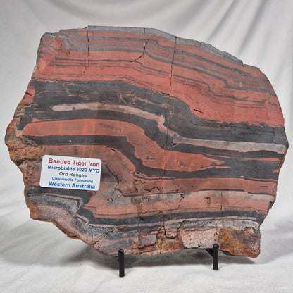 Banded Tiger Iron Polished ZBI018