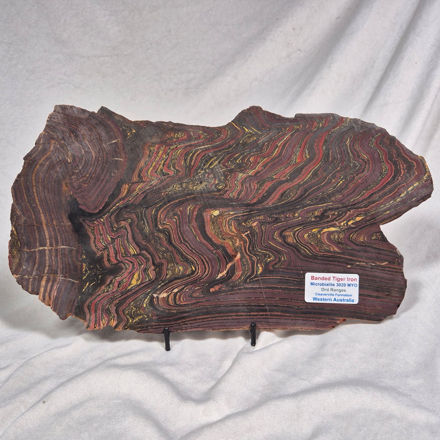 Banded Tiger Iron Polished ZBI020