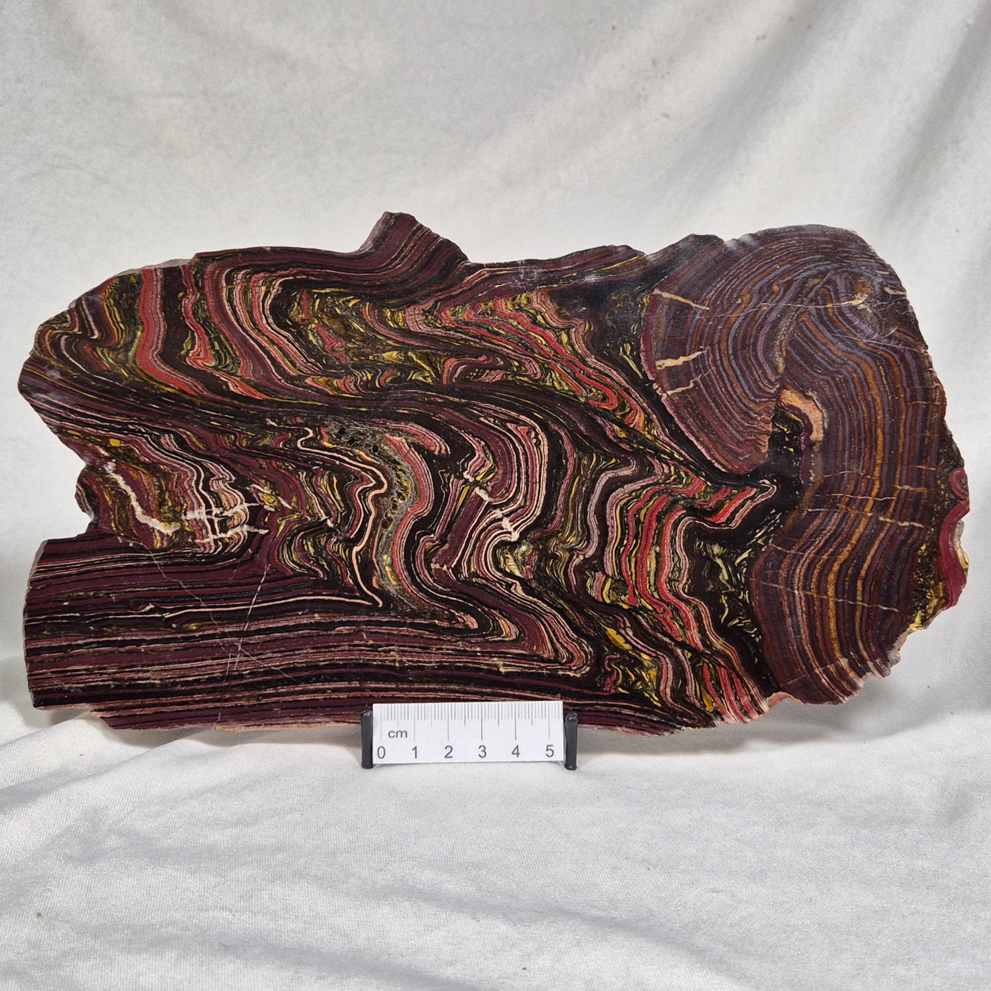 Banded Tiger Iron Polished ZBI022