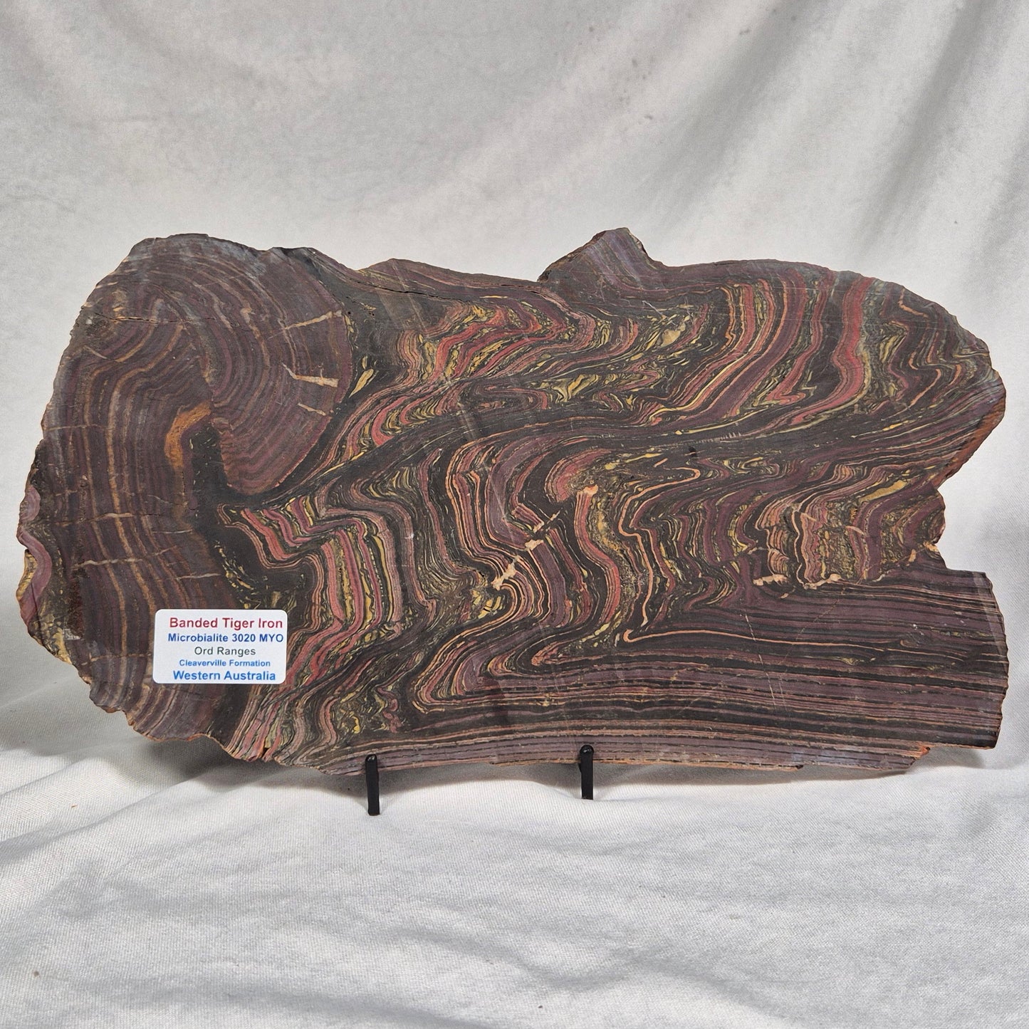 Banded Tiger Iron Polished ZBI022