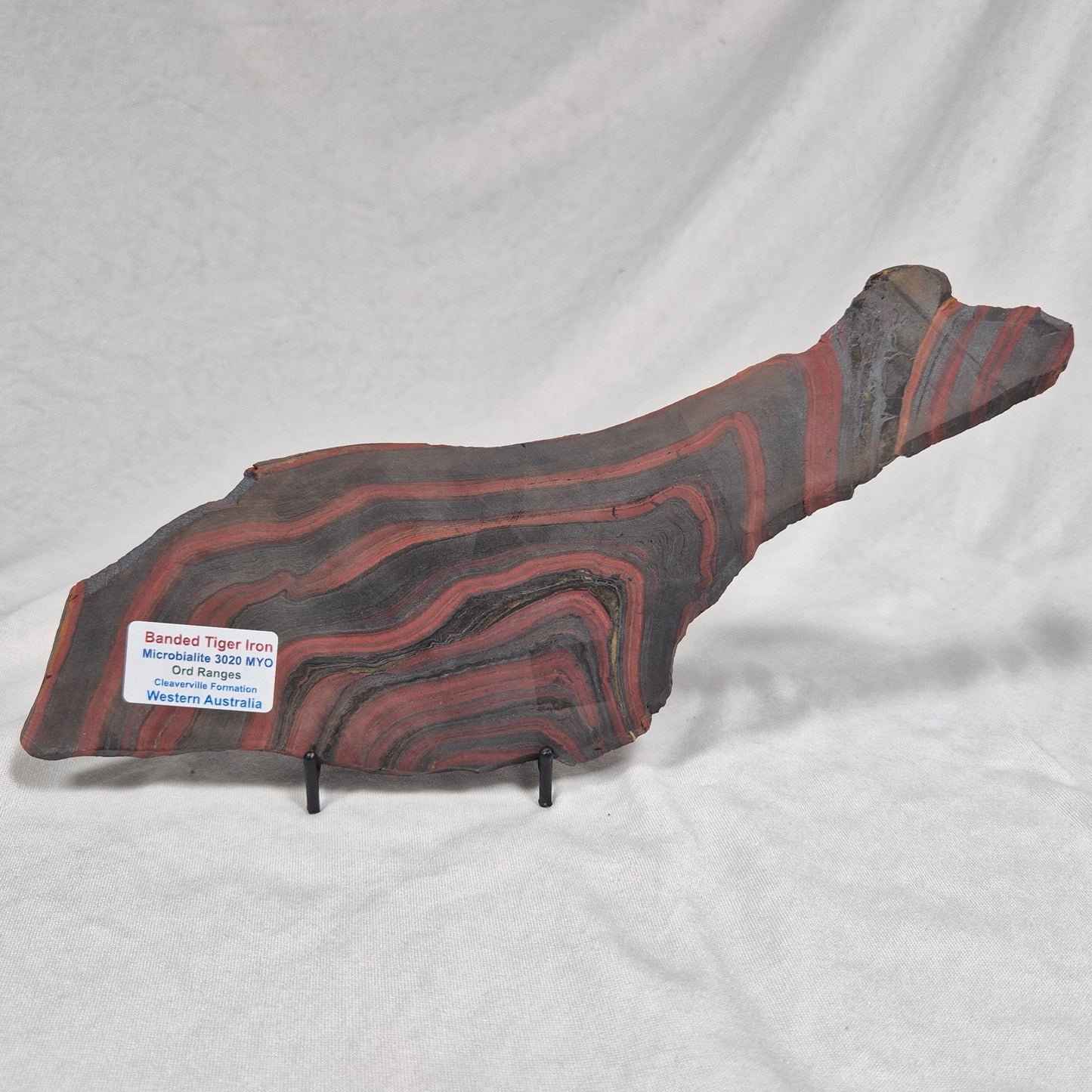 Banded Tiger Iron Polished ZBI023