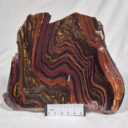 Banded Tiger Iron Polished ZBI025