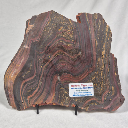 Banded Tiger Iron Polished ZBI025