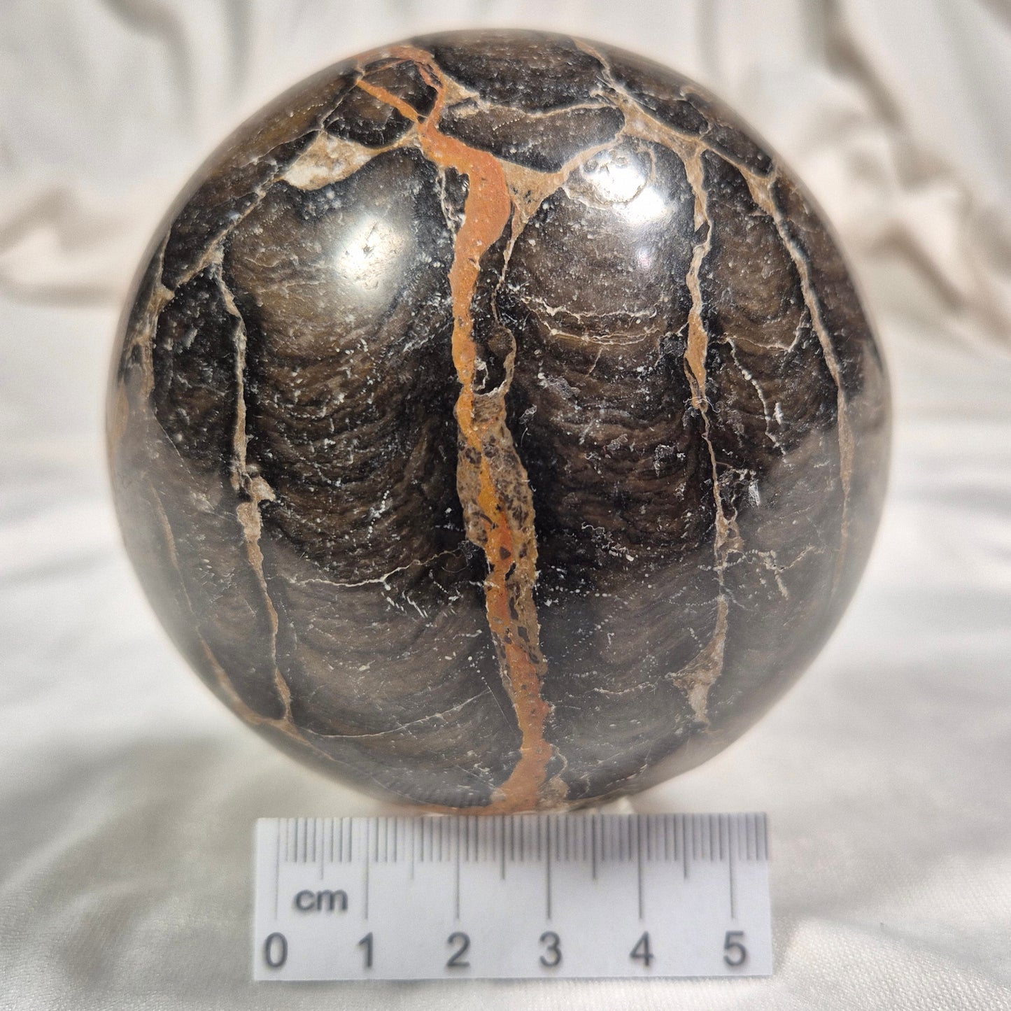 Boxonia Pertaknurra Stromatolite Polished Sphere ZSS003