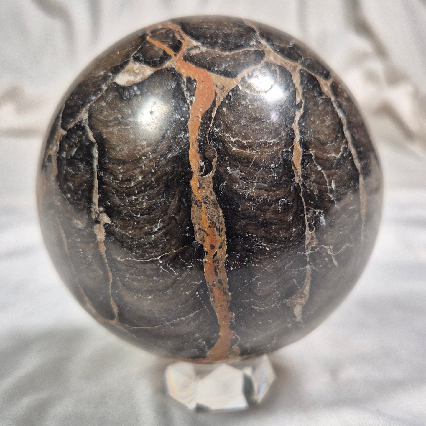 Boxonia Pertaknurra Stromatolite Polished Sphere ZSS003