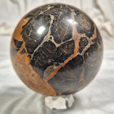 Boxonia Pertaknurra Stromatolite Polished Sphere ZSS003