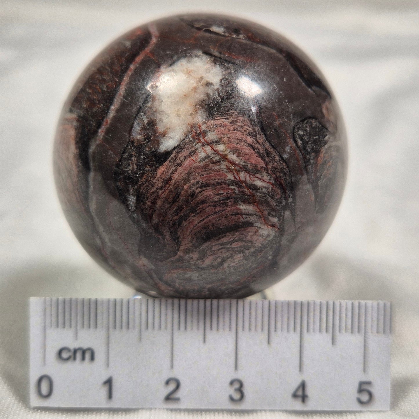 Inzeria Intia Stromatolite Polished Sphere ZSS004