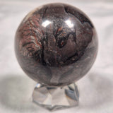 Inzeria Intia Stromatolite Polished Sphere ZSS004