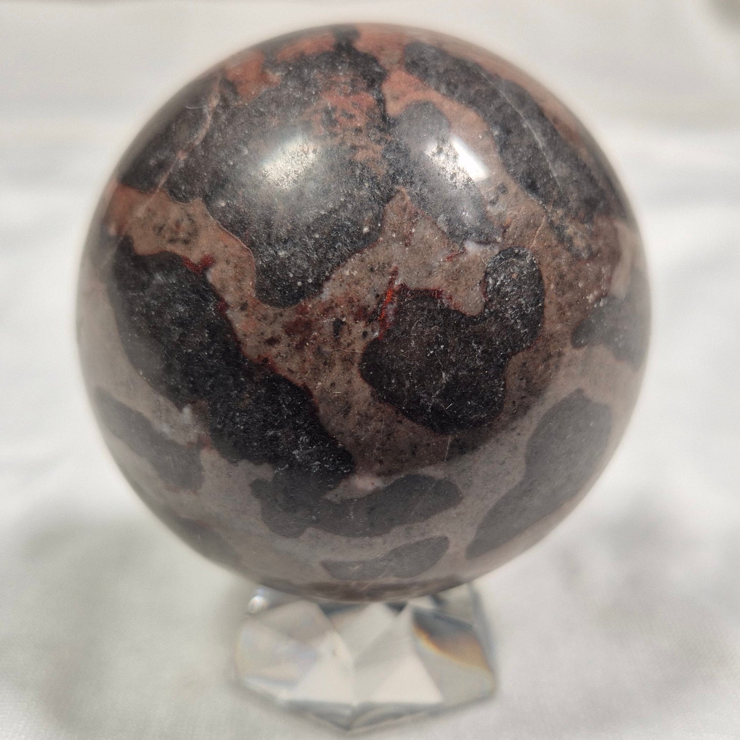 Inzeria Intia Stromatolite Polished Sphere ZSS005