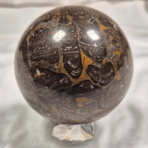 Inzeria Intia Stromatolite Polished Sphere ZSS006