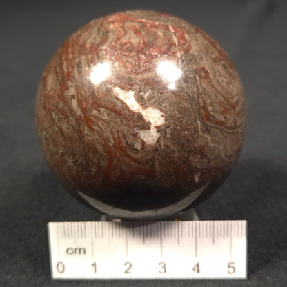 Linella Avis Stromatolite Polished Sphere ZSS007