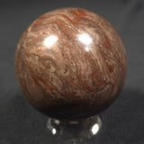 Linella Avis Stromatolite Polished Sphere ZSS007