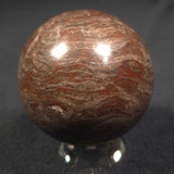 Linella Avis Stromatolite Polished Sphere ZSS007