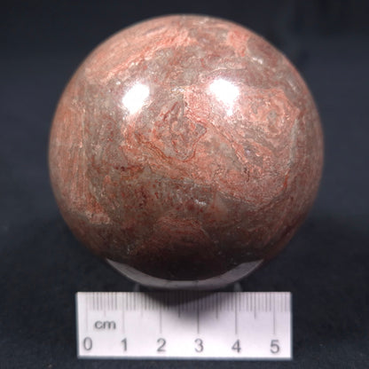 Linella Avis Stromatolite Polished Sphere ZSS008