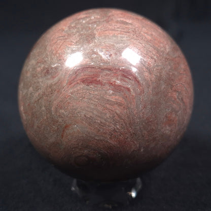 Linella Avis Stromatolite Polished Sphere ZSS008