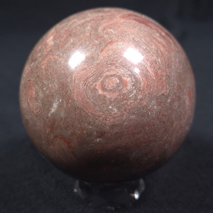 Linella Avis Stromatolite Polished Sphere ZSS008