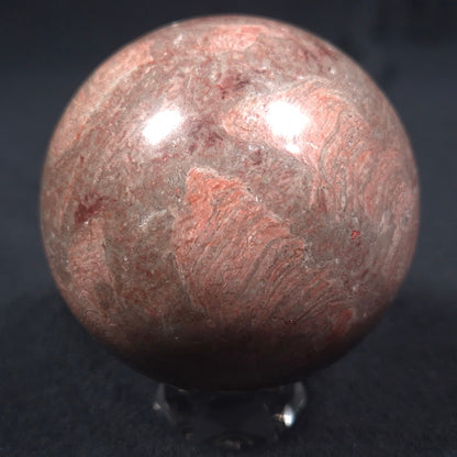 Linella Avis Stromatolite Polished Sphere ZSS008