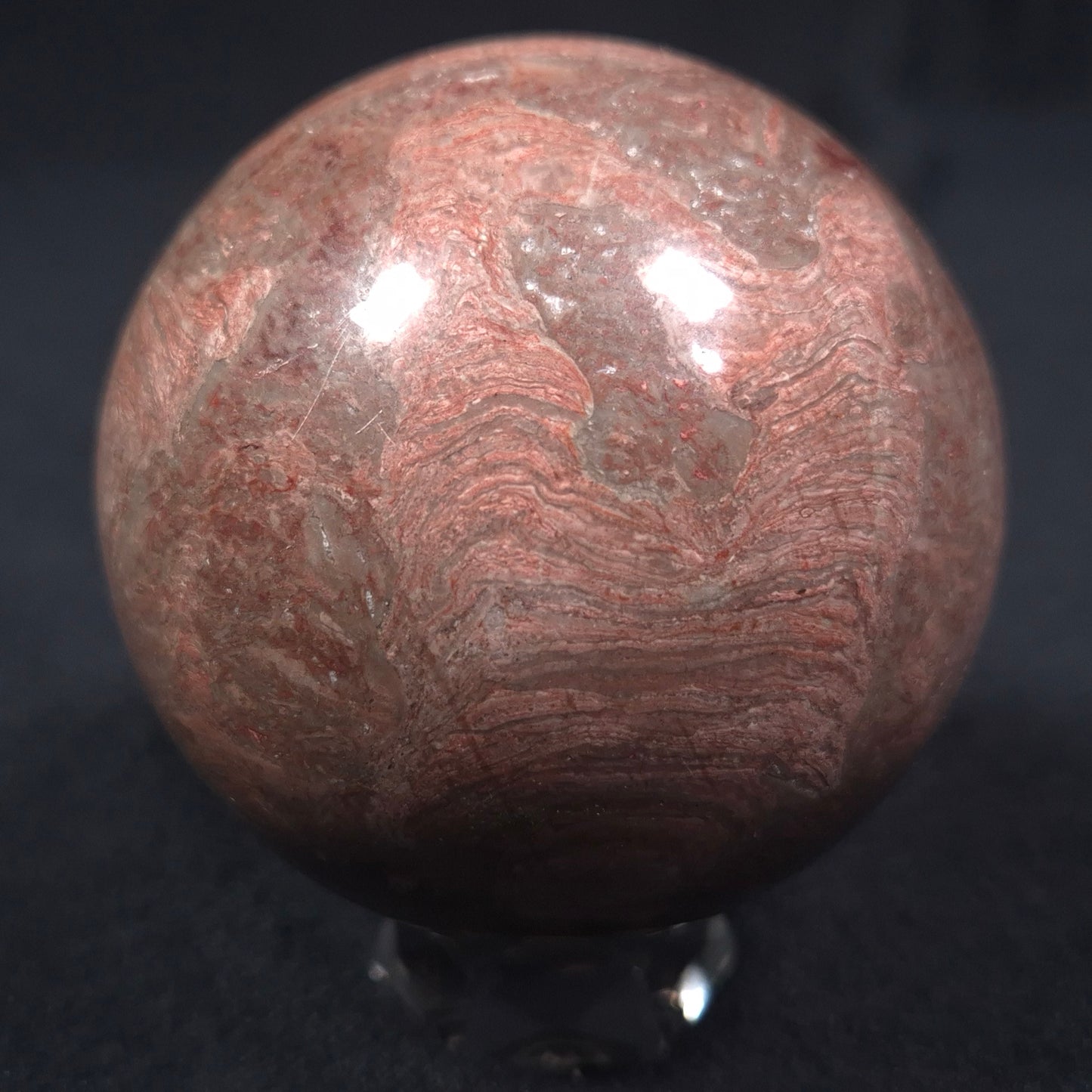 Linella Avis Stromatolite Polished Sphere ZSS008