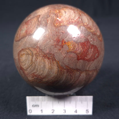 Linella Avis Stromatolite Polished Sphere ZSS010