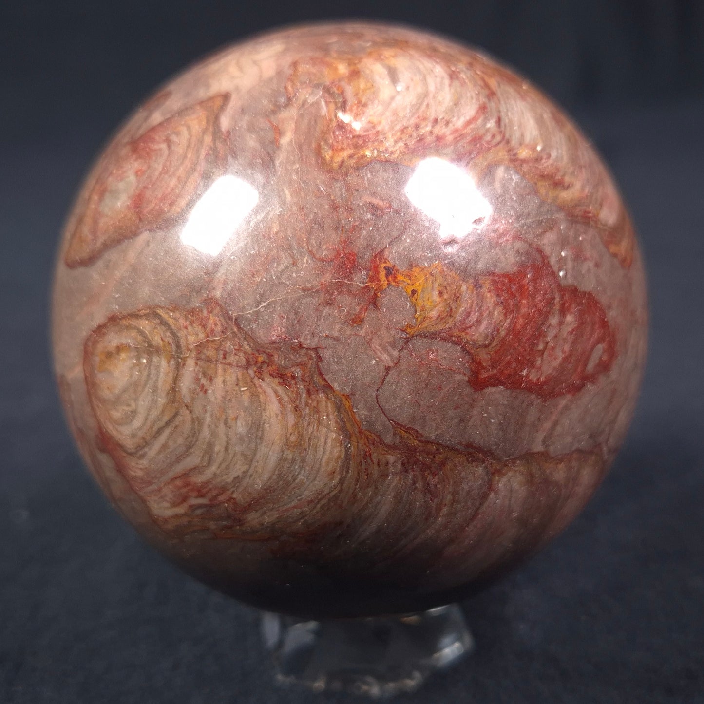 Linella Avis Stromatolite Polished Sphere ZSS010