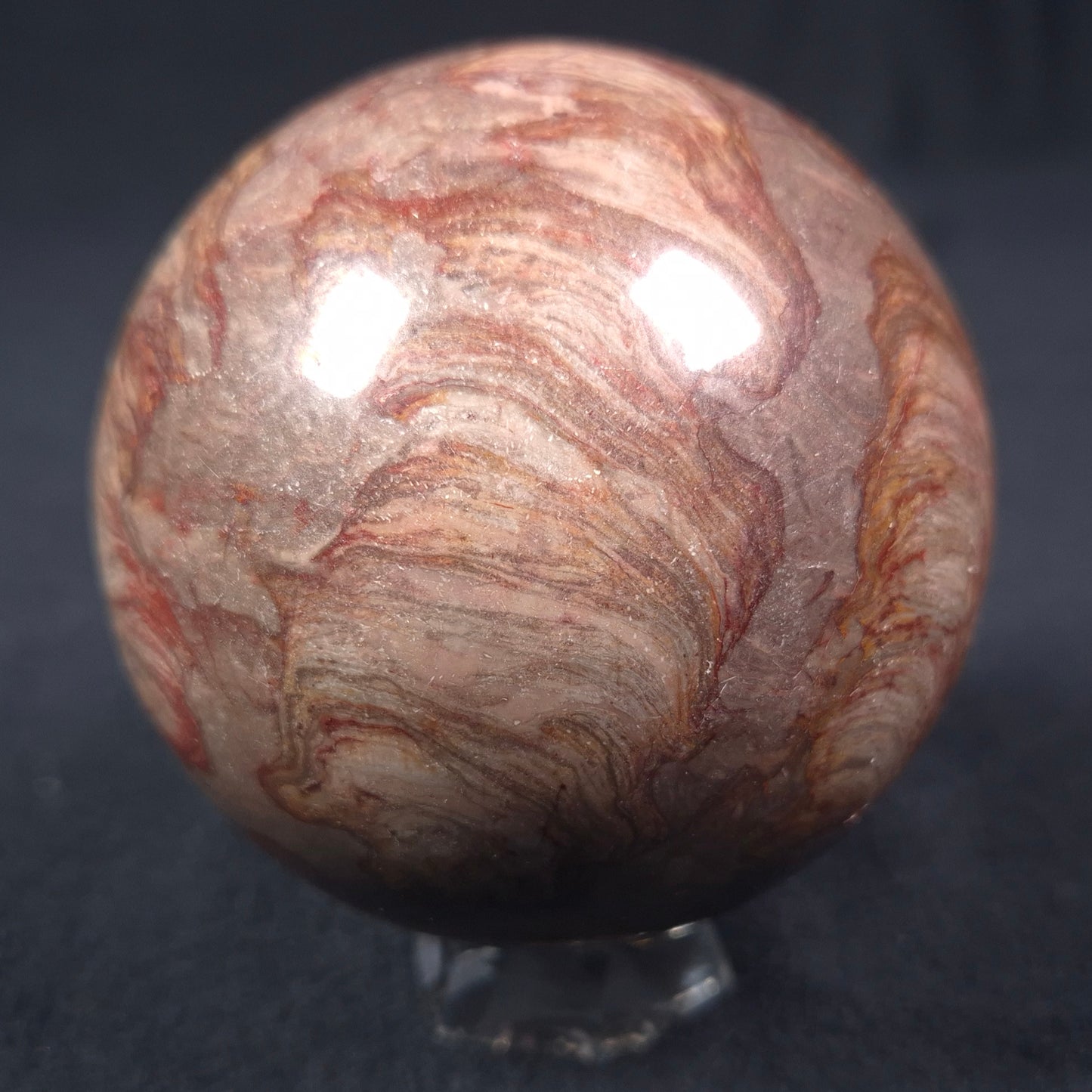 Linella Avis Stromatolite Polished Sphere ZSS010