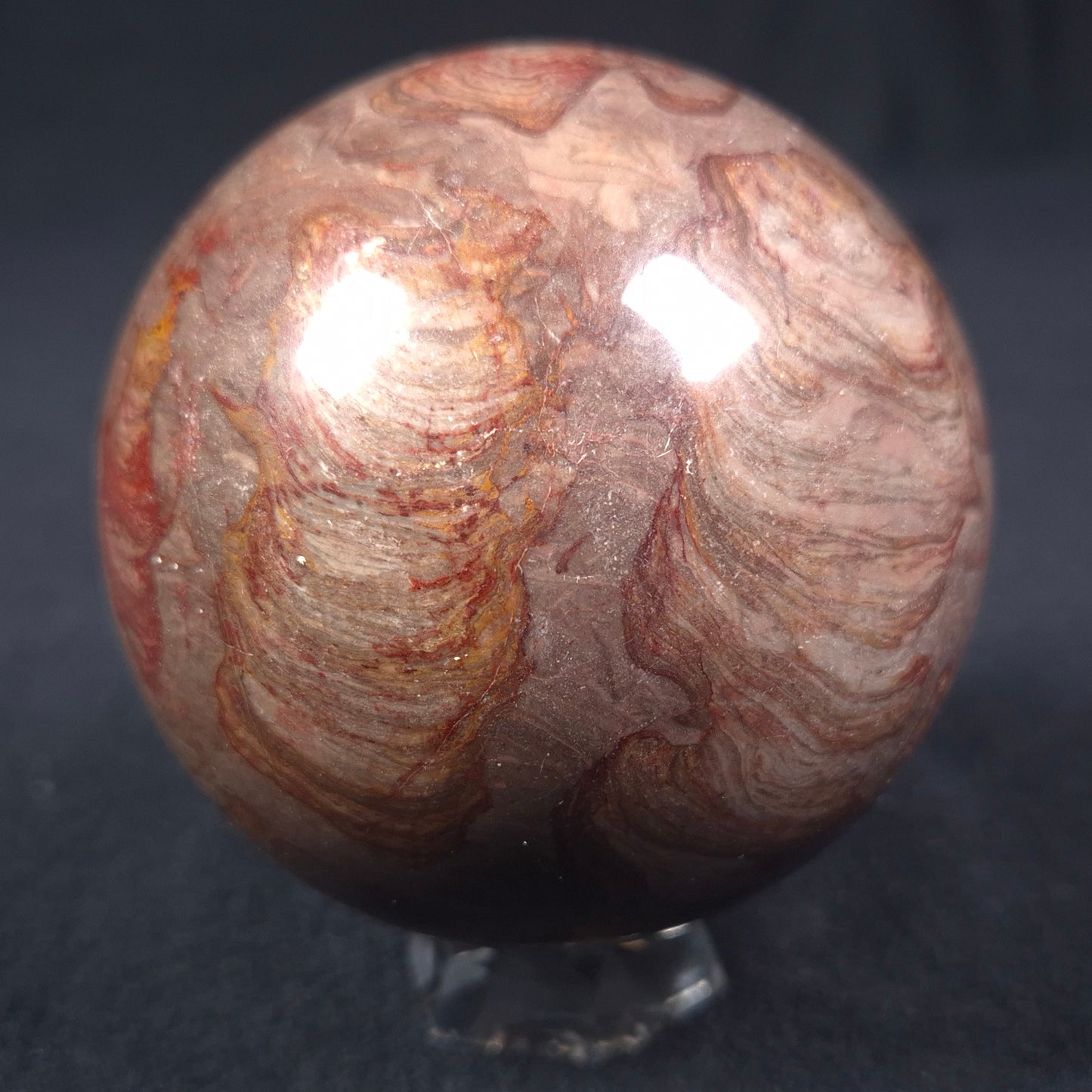 Linella Avis Stromatolite Polished Sphere ZSS010