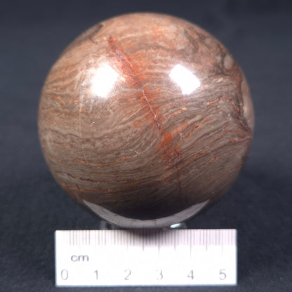 Linella Avis Stromatolite Polished Sphere ZSS009