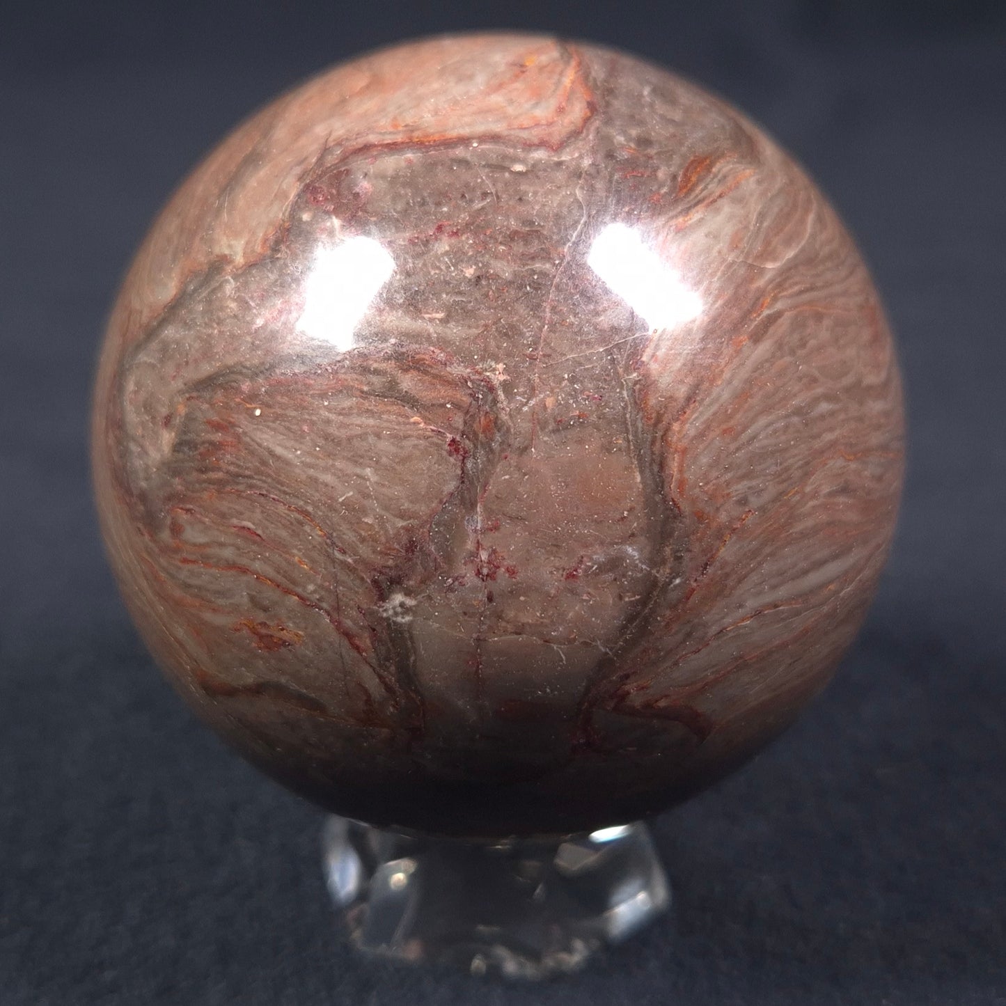 Linella Avis Stromatolite Polished Sphere ZSS009