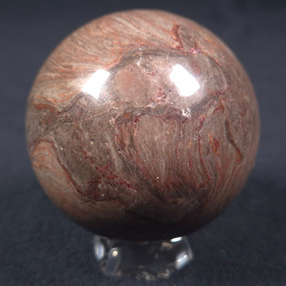 Linella Avis Stromatolite Polished Sphere ZSS009