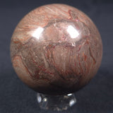 Linella Avis Stromatolite Polished Sphere ZSS009