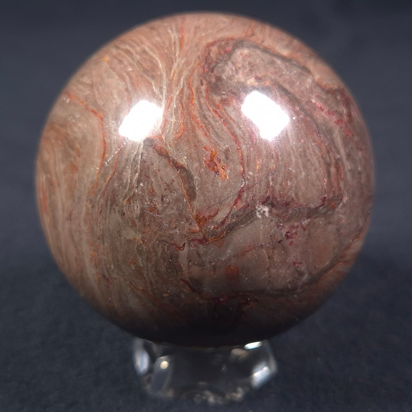 Linella Avis Stromatolite Polished Sphere ZSS009