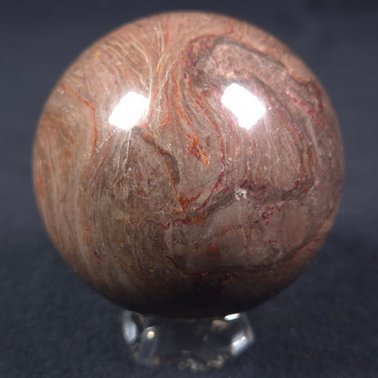 Linella Avis Stromatolite Polished Sphere ZSS009