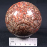 Madiganites Mawsoni Stromatolite Polished Sphere ZSS012