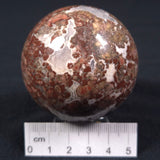 Madiganites Mawsoni Stromatolite Polished Sphere ZSS013