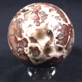 Madiganites Mawsoni Stromatolite Polished Sphere ZSS014