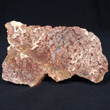 Madiganites Mawsoni Stromatolite Polished ZMM003