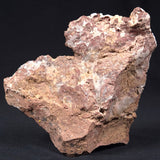 Madiganites Mawsoni Stromatolite Polished ZMM006