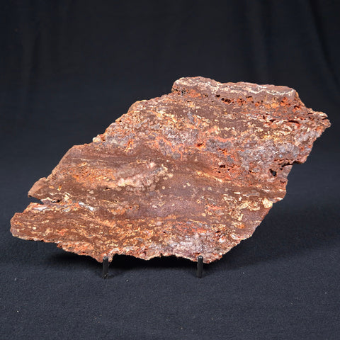 Madiganites Mawsoni Stromatolite Polished ZMM010