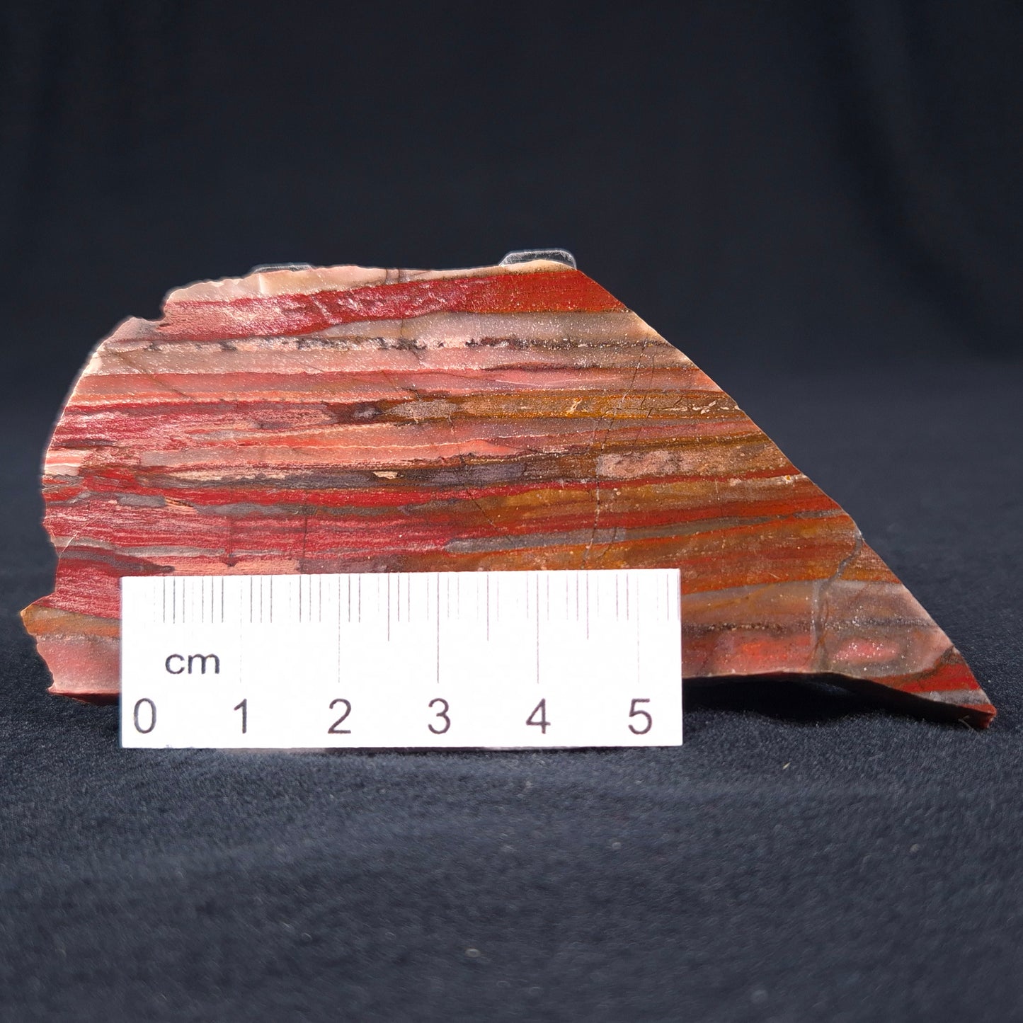 Banded Iron Formation from Marble Bar Polished ZMB001